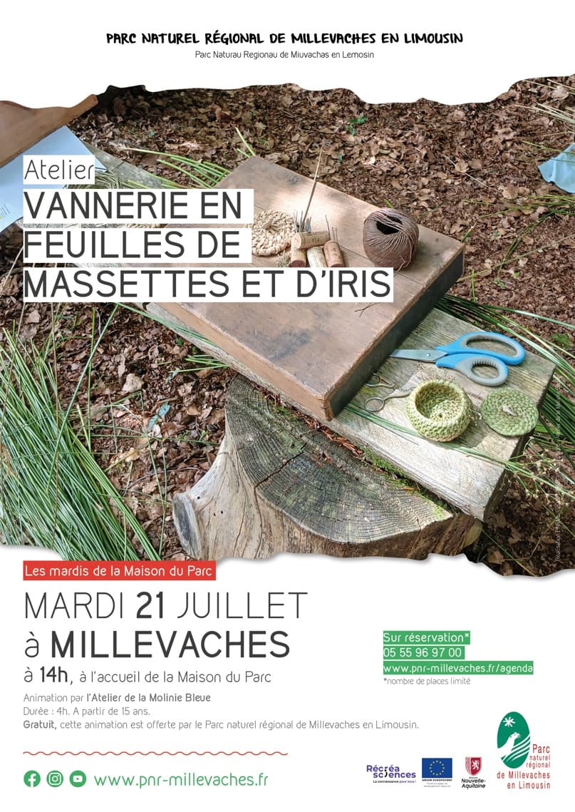 Illustration de l'événement : Atelier vannerie en feuilles de massettes et d'iris