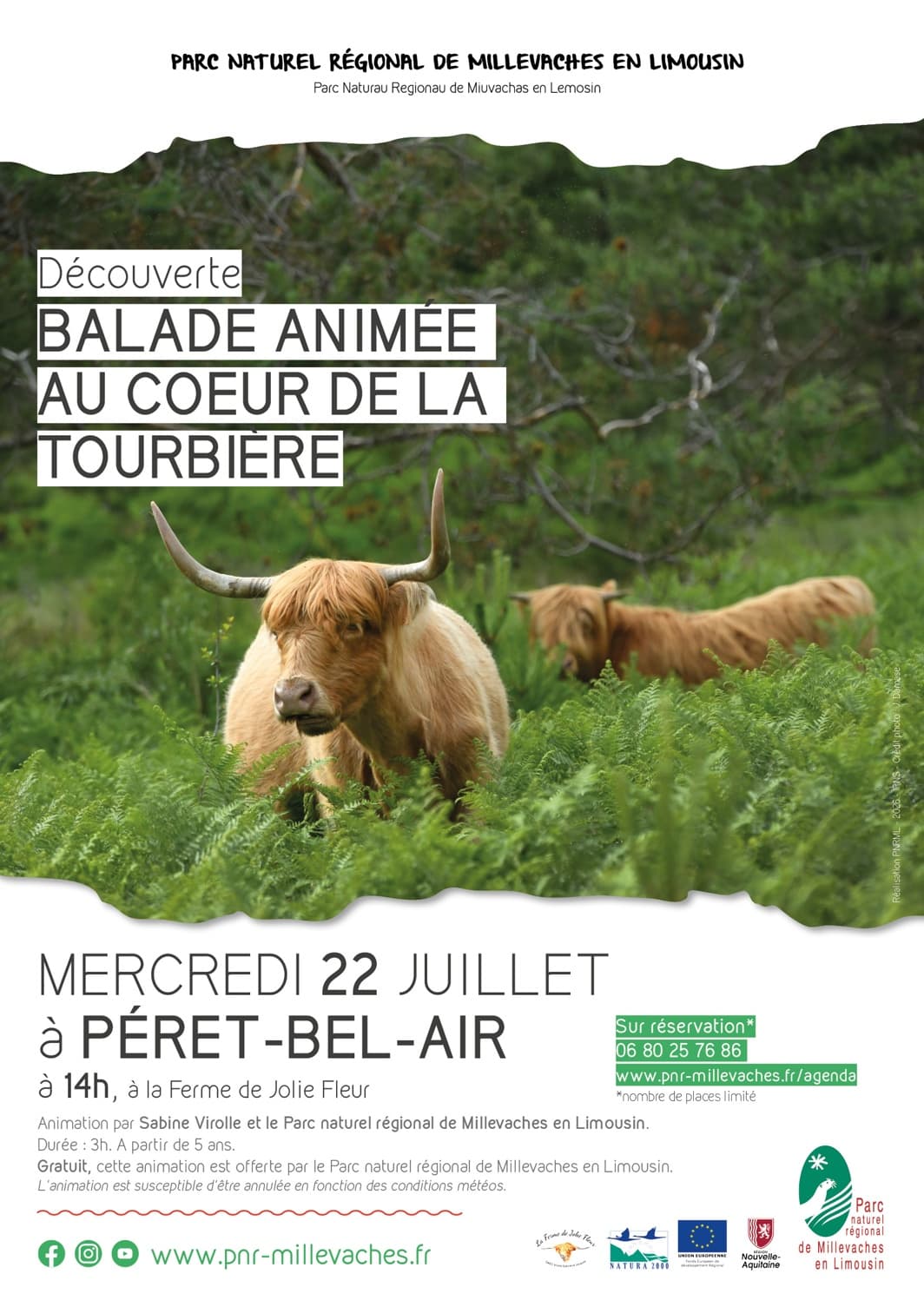 Illustration de l'événement : Balade animée au coeur de la tourbière