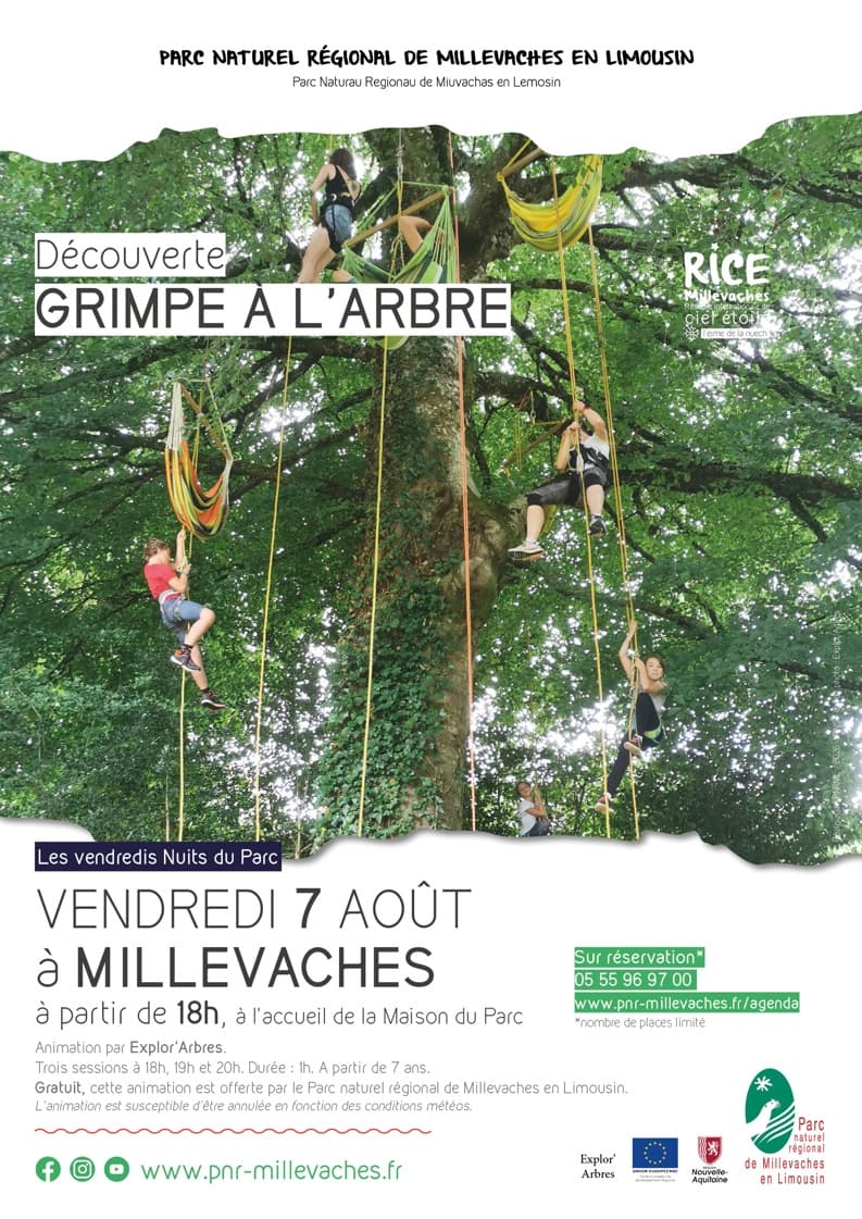 Illustration de l'événement : Grimpe d'arbre