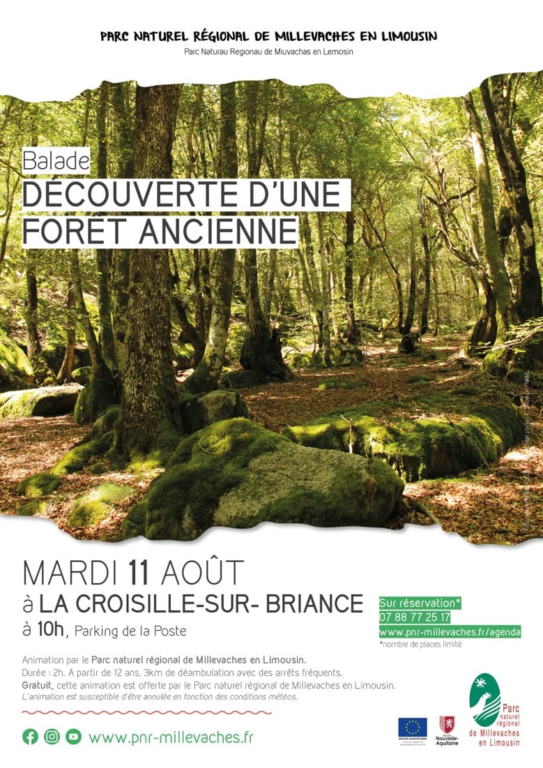 Illustration de l'événement : Découverte d'une forêt ancienne