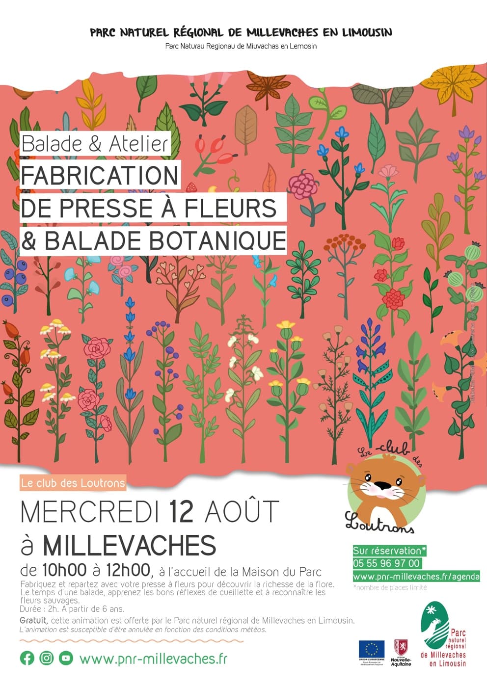Illustration de l'événement : Atelier fabrication de presse à fleurs et balade botanique