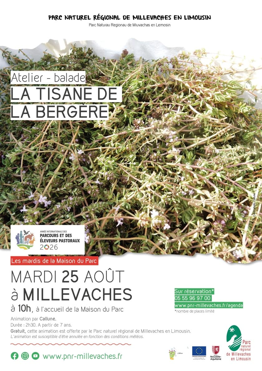 Illustration de l'événement : Atelier La tisane de la bergère