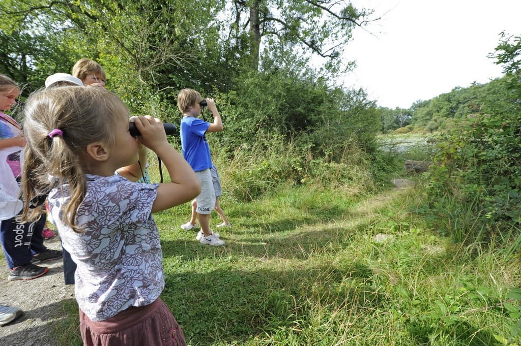 Illustration de l'événement : Détectives naturalistes en herbe