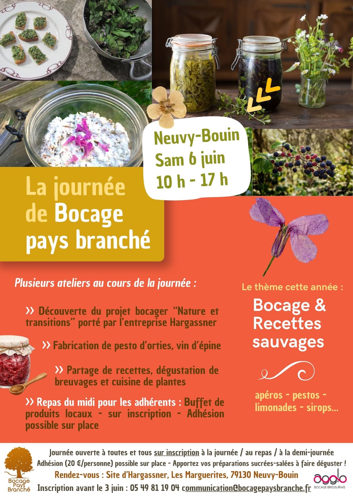 Illustration de l'événement : La journée de Bocage pays branché