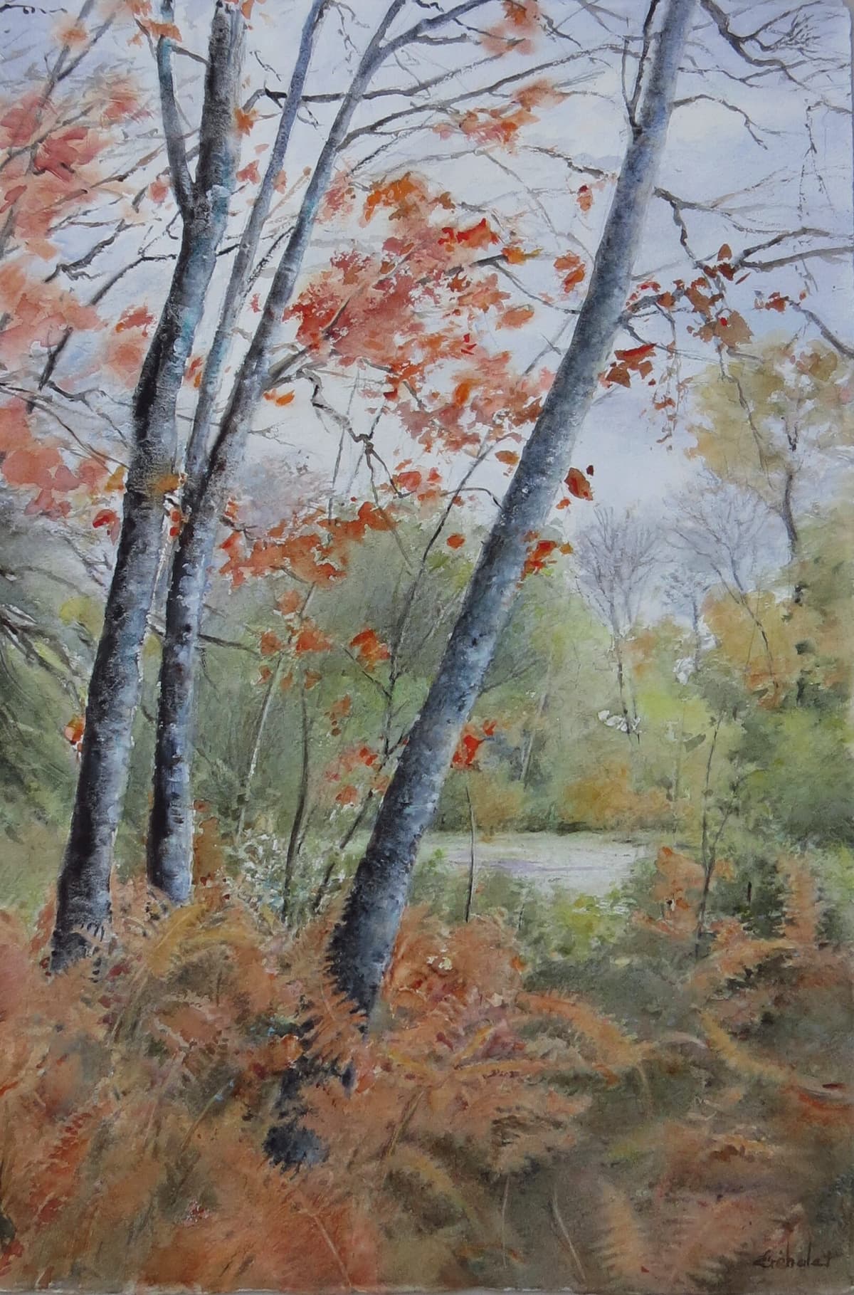 Illustration de l'événement : 21ème Salon International de l'Aquarelle de Saint-Yrieix-La-Perche