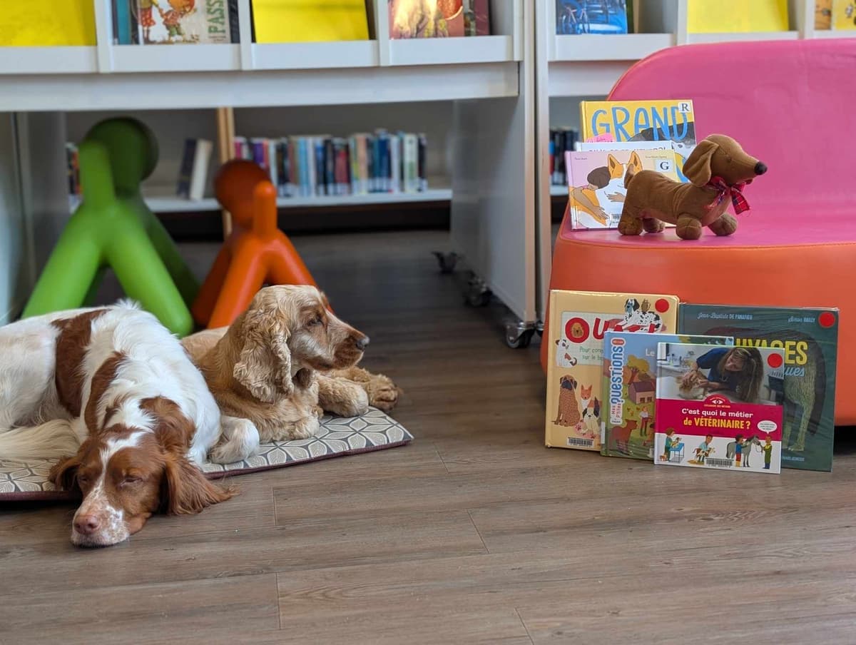 Illustration de l'événement : Lire avec les chiens
