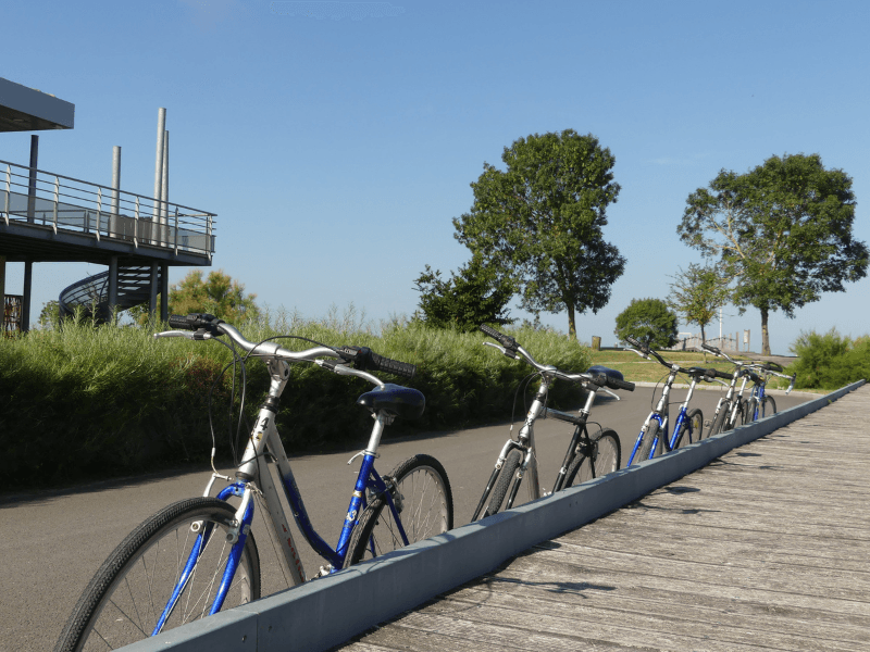 Illustration de l'événement : Vendredi vélo à Terres d'Oiseaux
