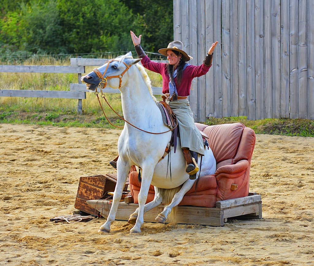 Illustration de l'événement : Far-West Story - Spectacle Equestre