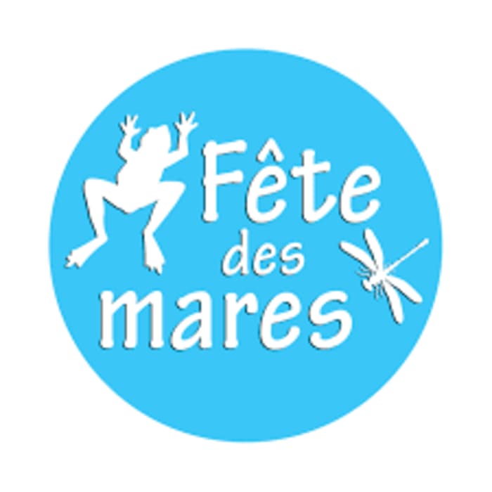 Illustration de l'événement : Fête des mares : les libellules du Pinail