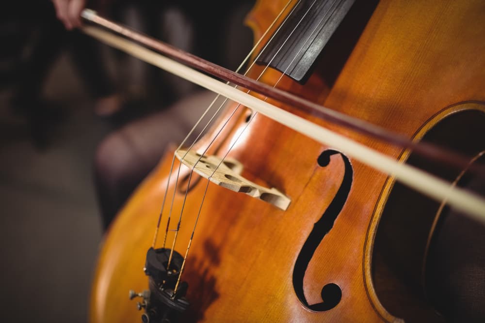 Illustration de l'événement : Concert de quatuor à cordes