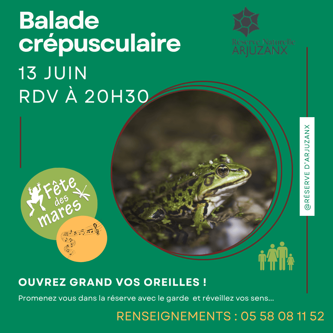 Illustration de l'événement : Rendez-vous nature : Fête des mares
