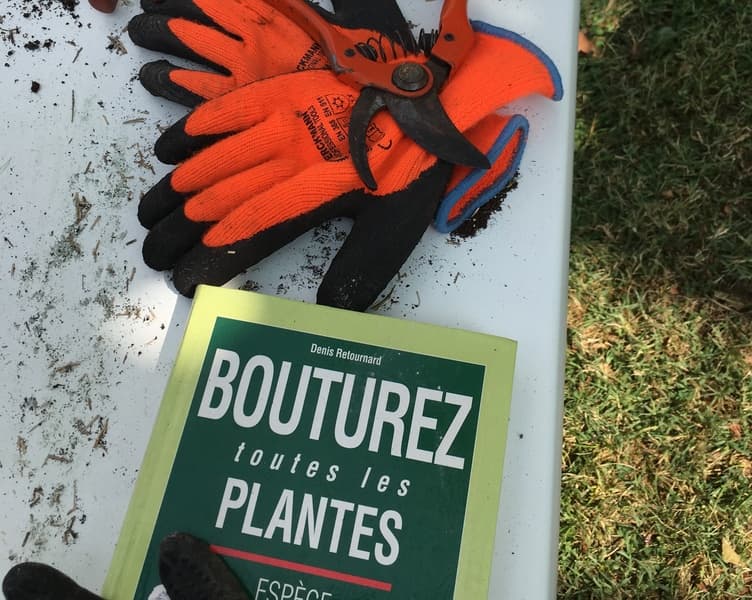 Illustration de l'événement : Malagar Autrement - Atelier bouturage dans le parc