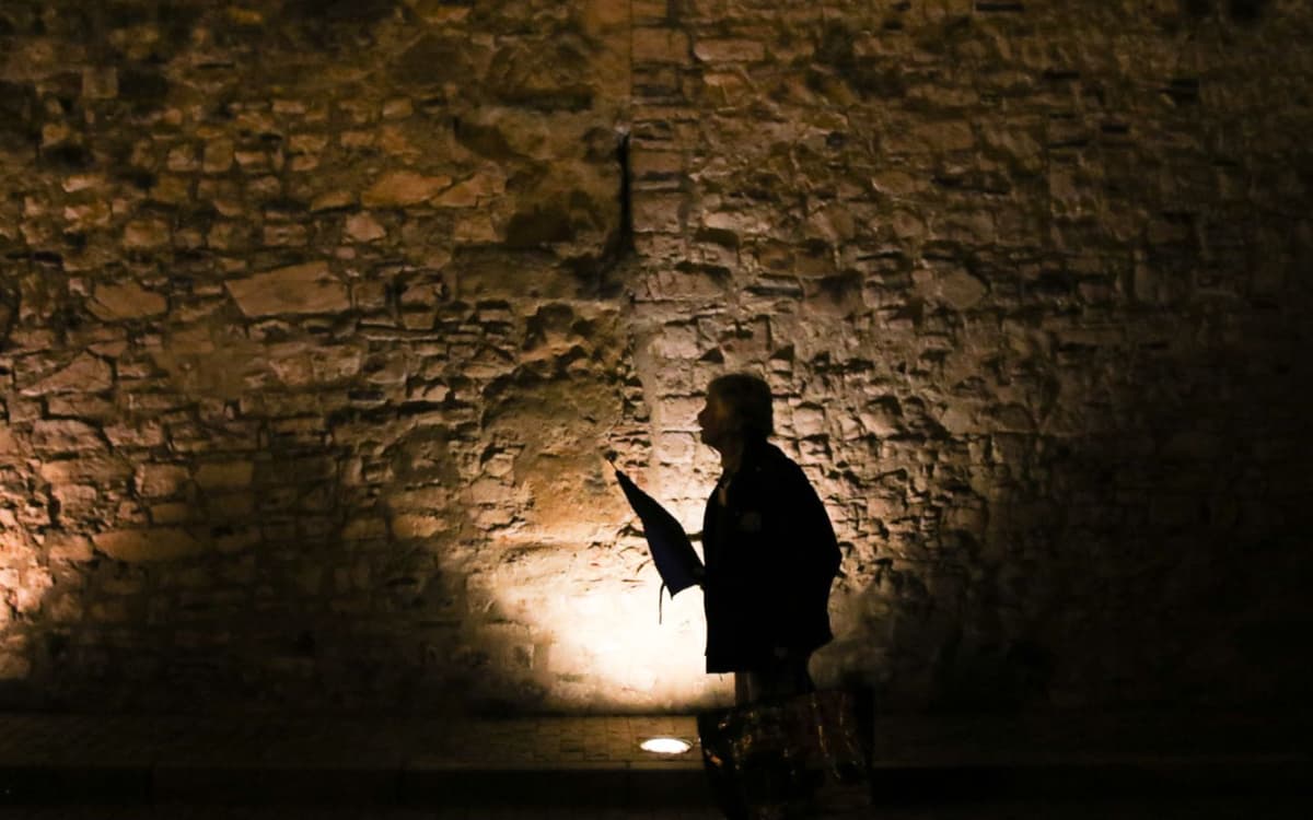 Illustration de l'événement : Visite guidée: Balade au crépuscule