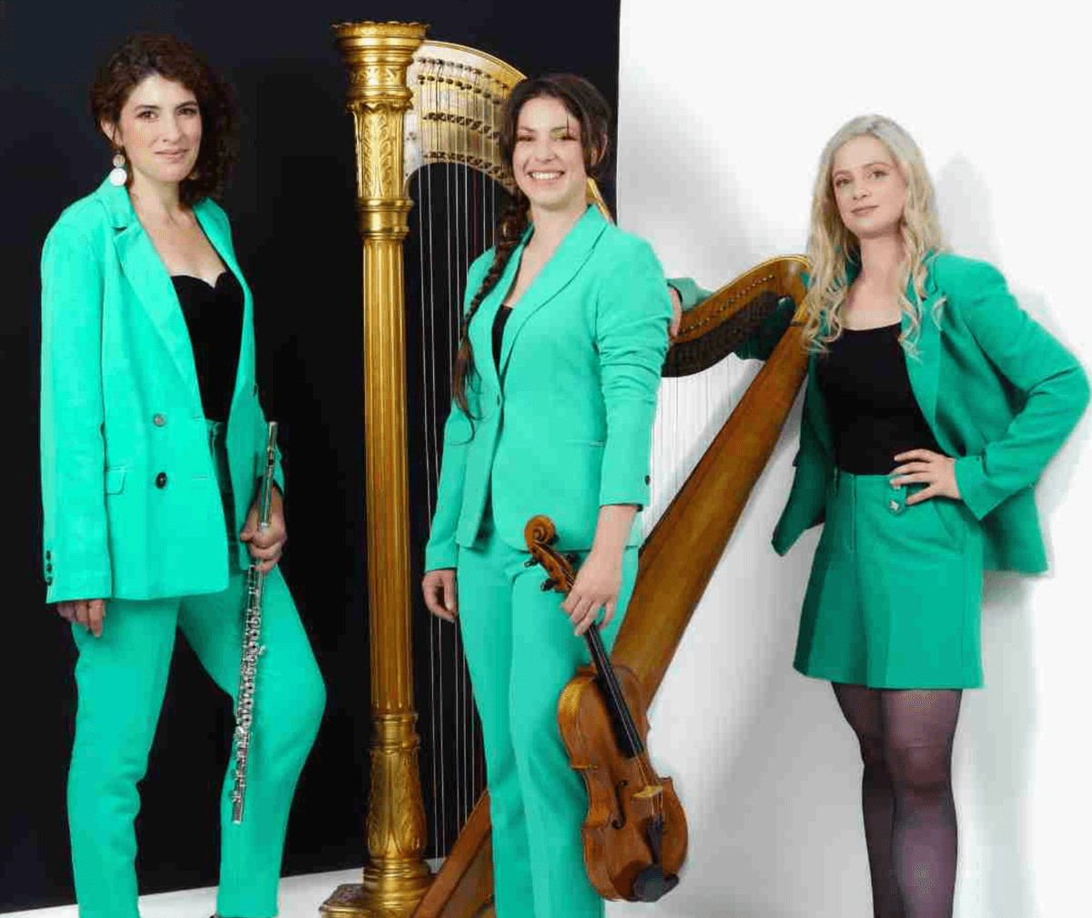 Illustration de l'événement : Festival du château nord 2026 - Concert et Apéro