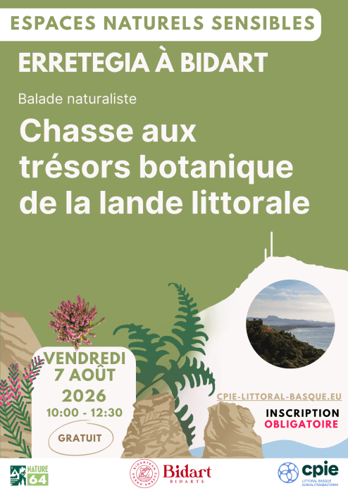 Illustration de l'événement : Chasse aux trésors botaniques de la lande littorale à Erretegia - CPIE Littoral basque