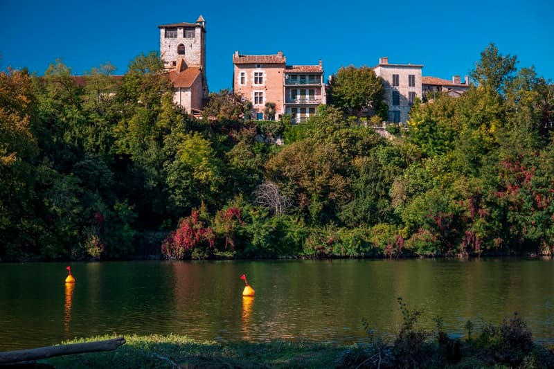 Illustration de l'événement : Visite de Clairac et les bords du Lot