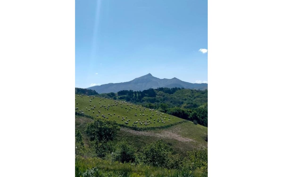 Illustration de l'événement : A la découverte de la Corniche basque, Espace Naturel Sensible à Urrugne: Paysages agricoles entre montagne et océan.