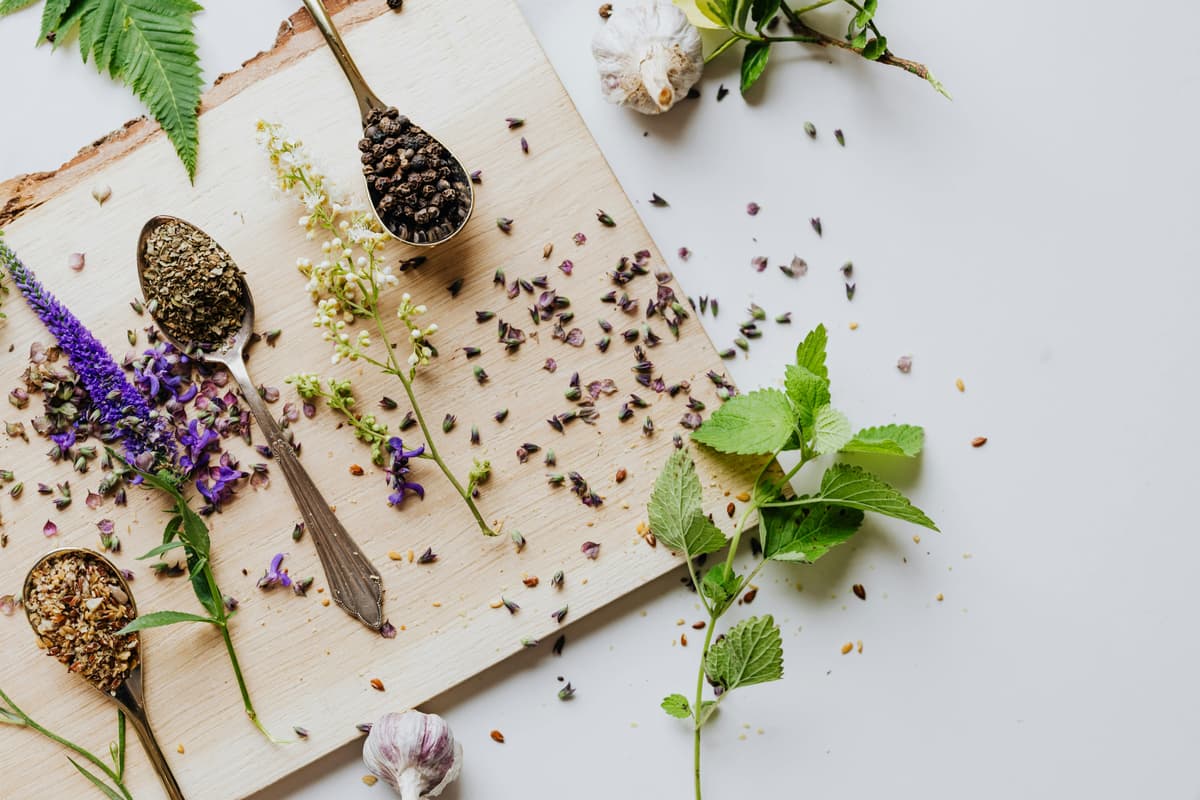 Illustration de l'événement : Cuisine sauvage d'automne