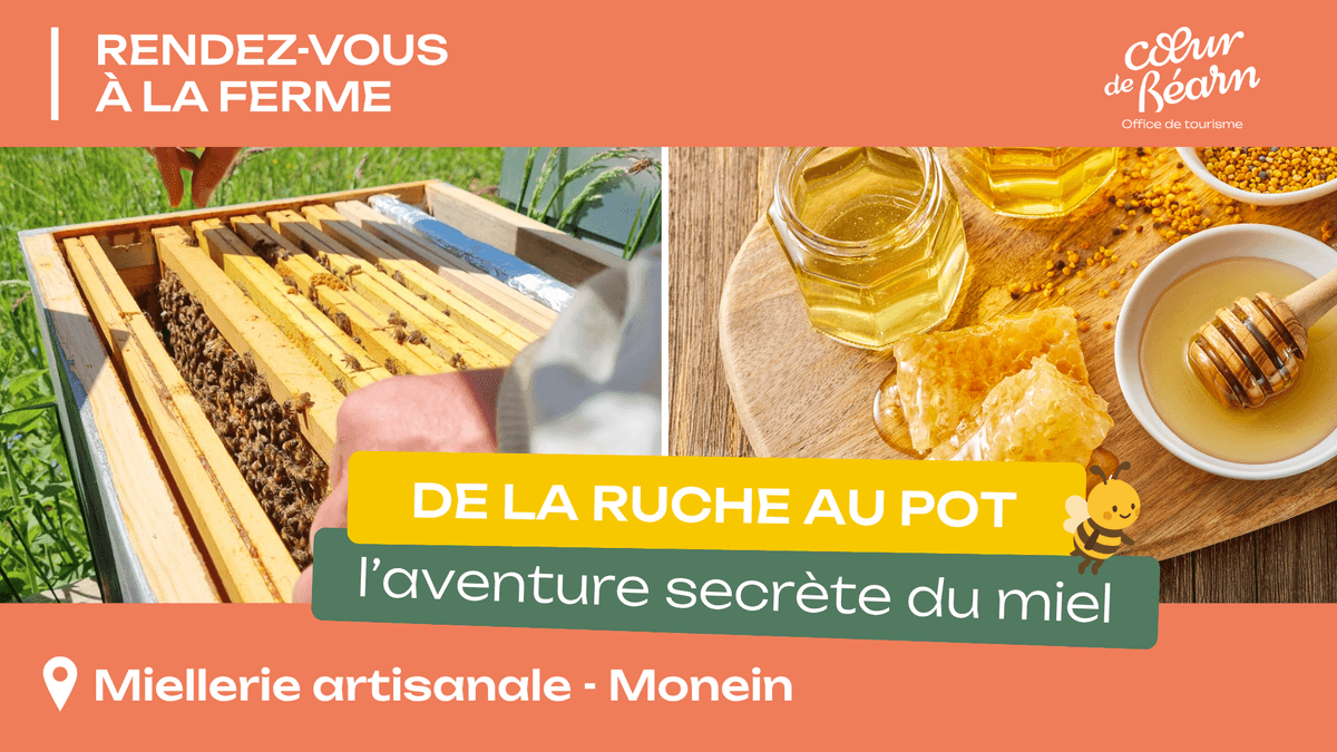 Illustration de l'événement : Rendez-vous à la ferme : De la ruche au pot