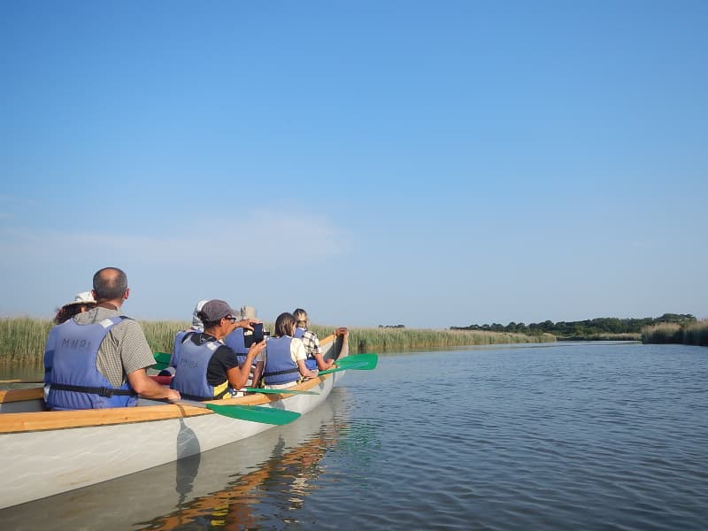 Illustration de l'événement : Visite guidée de la réserve ornithologique à pied et de son delta en canoë collectif