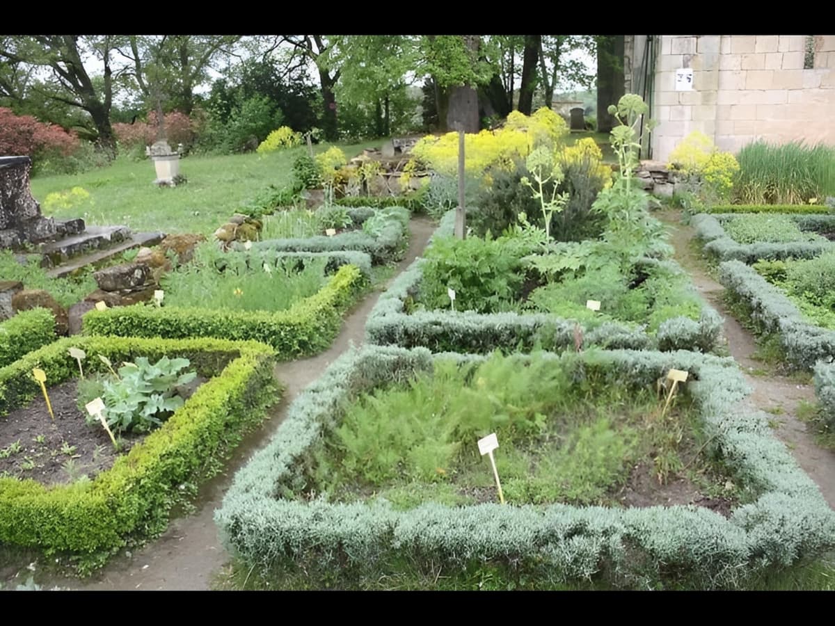Illustration de l'événement : Rendez-vous aux jardins : visite du jardin de la Commanderie de Sallebruneau