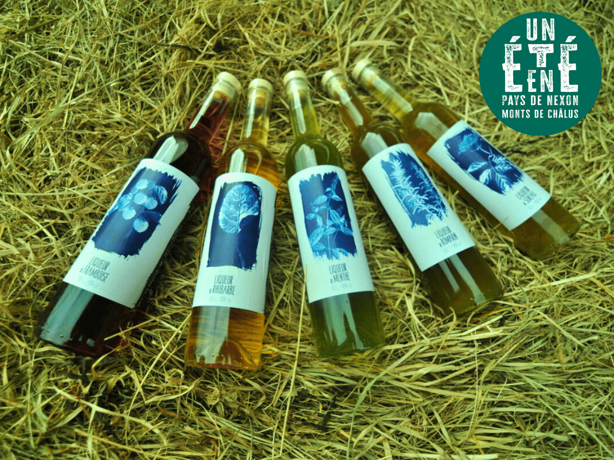 Illustration de l'événement : À la rencontre des producteurs - La Distillerie Dandelion