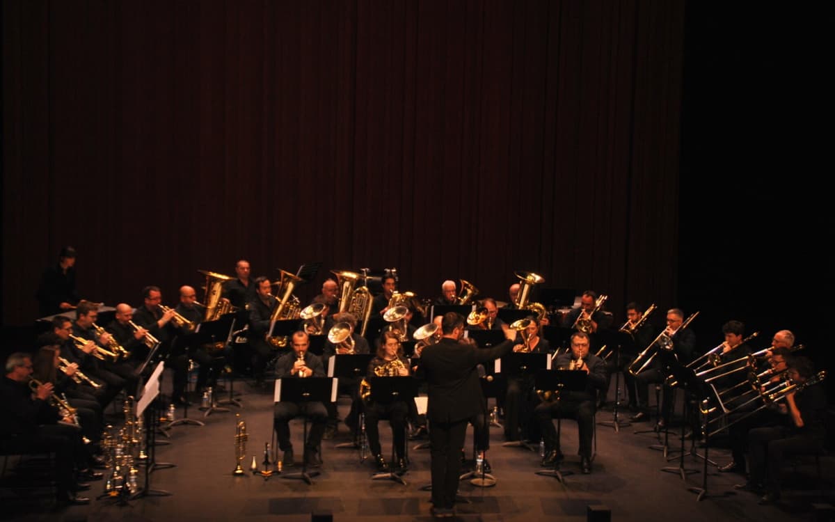 Illustration de l'événement : Concert "Donibaneko Haizeak"