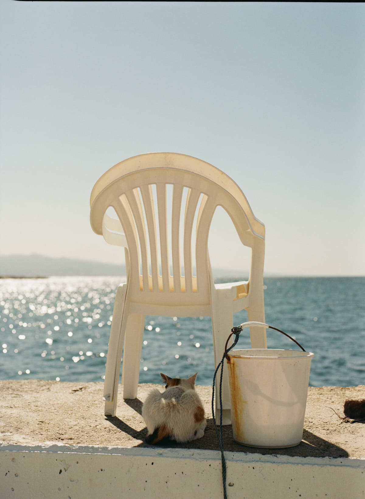 Illustration de l'événement : Festival Orizons - Exposition : La Chaise en plastique