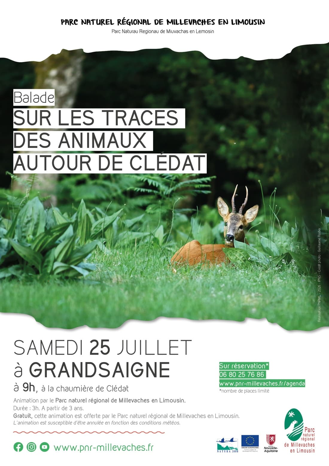 Illustration de l'événement : Les Pastorales de Clédat : Sur les traces des animaux autour de Clédat