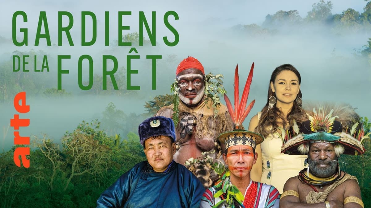 Illustration de l'événement : Docu Gardiens de la forêt – Papouasie, le temps des solutions (2/5)