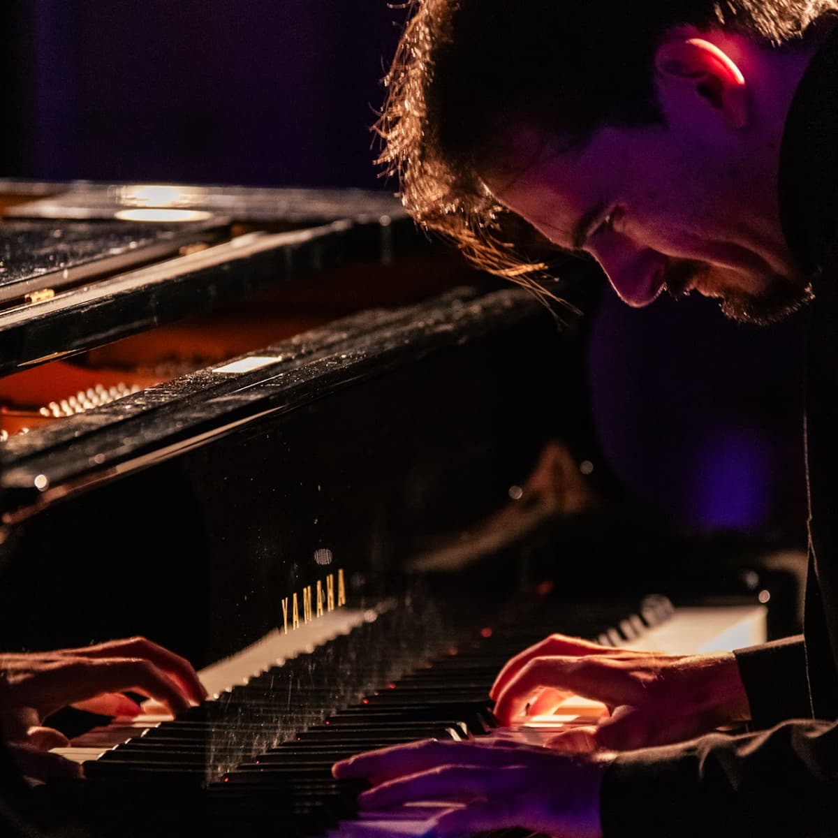 Illustration de l'événement : MUZ' Festival de Musique d'Uzerche : Piano Fuego