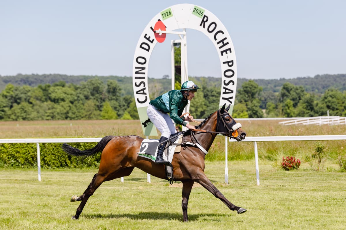 Illustration de l'événement : Courses hippiques Trot