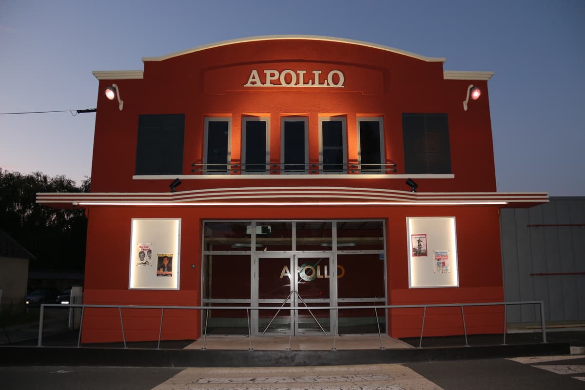 Illustration de l'événement : Cinéma "L'arnaqueuse"