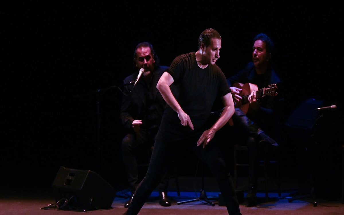 Illustration de l'événement : Spectacle de danse  « Gaua » par la compagnie Ibawa