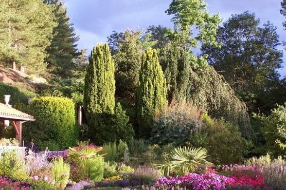Illustration de l'événement : Rendez-Vous aux Jardins : Vue rétrospective : 30ème anniversaire - Les Jardins du Gué