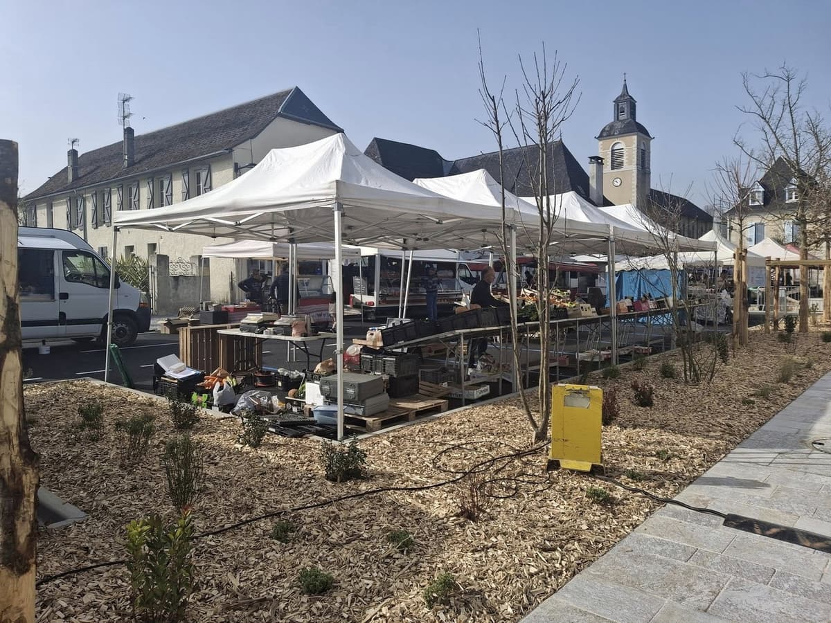 Illustration de l'événement : Marché
