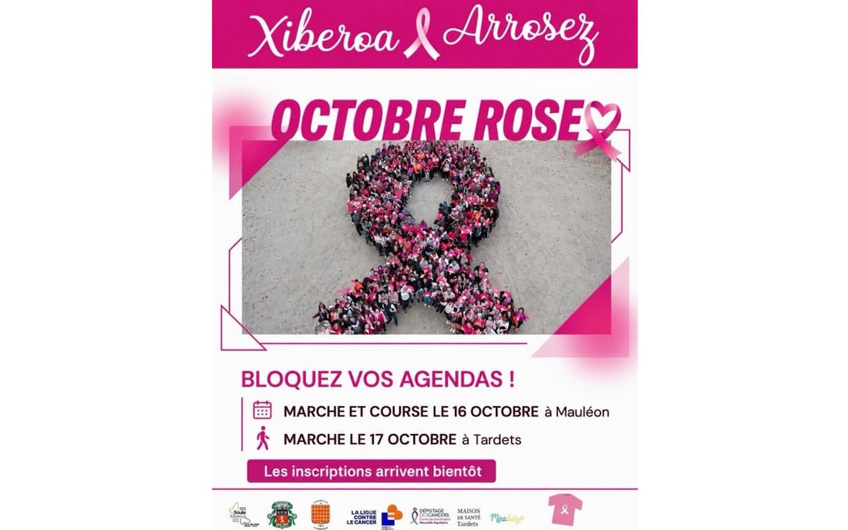 Illustration de l'événement : Octobre rose : marche au profit de la lutte contre le cancer du sein