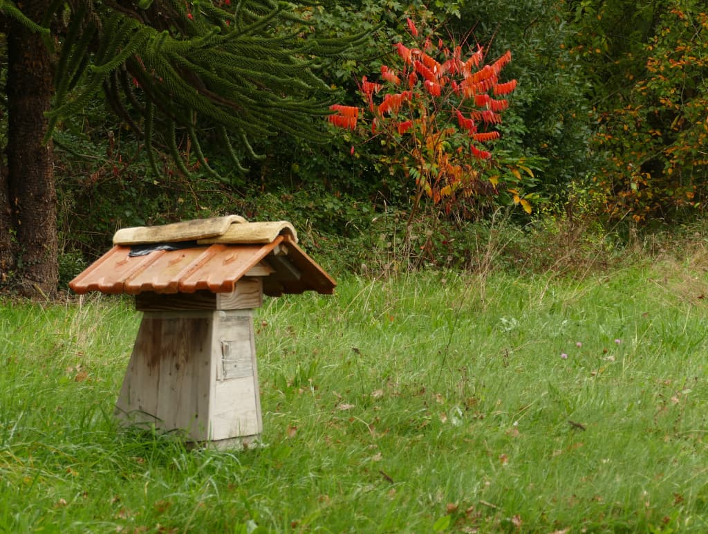 Illustration de l'événement : Animations abeilles
