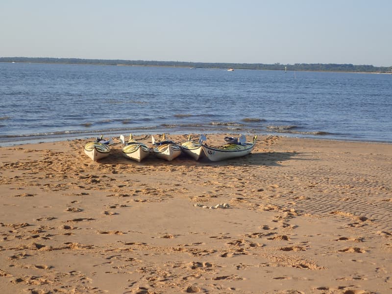 Illustration de l'événement : Initiation au kayak de mer dans le delta du Bassin d'Arcachon
