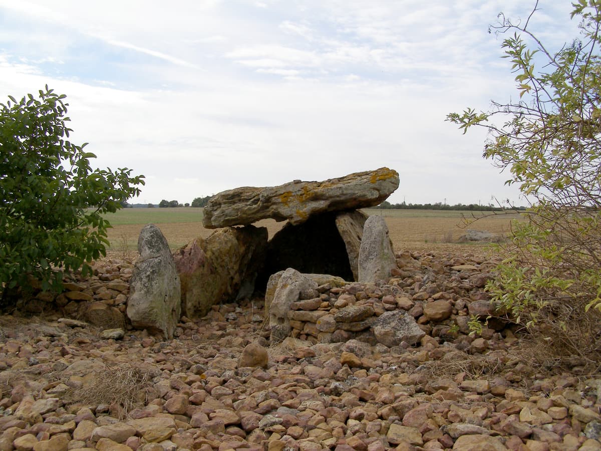 Illustration de l'événement : Visite des dolmens de la nécropole de Monpalais