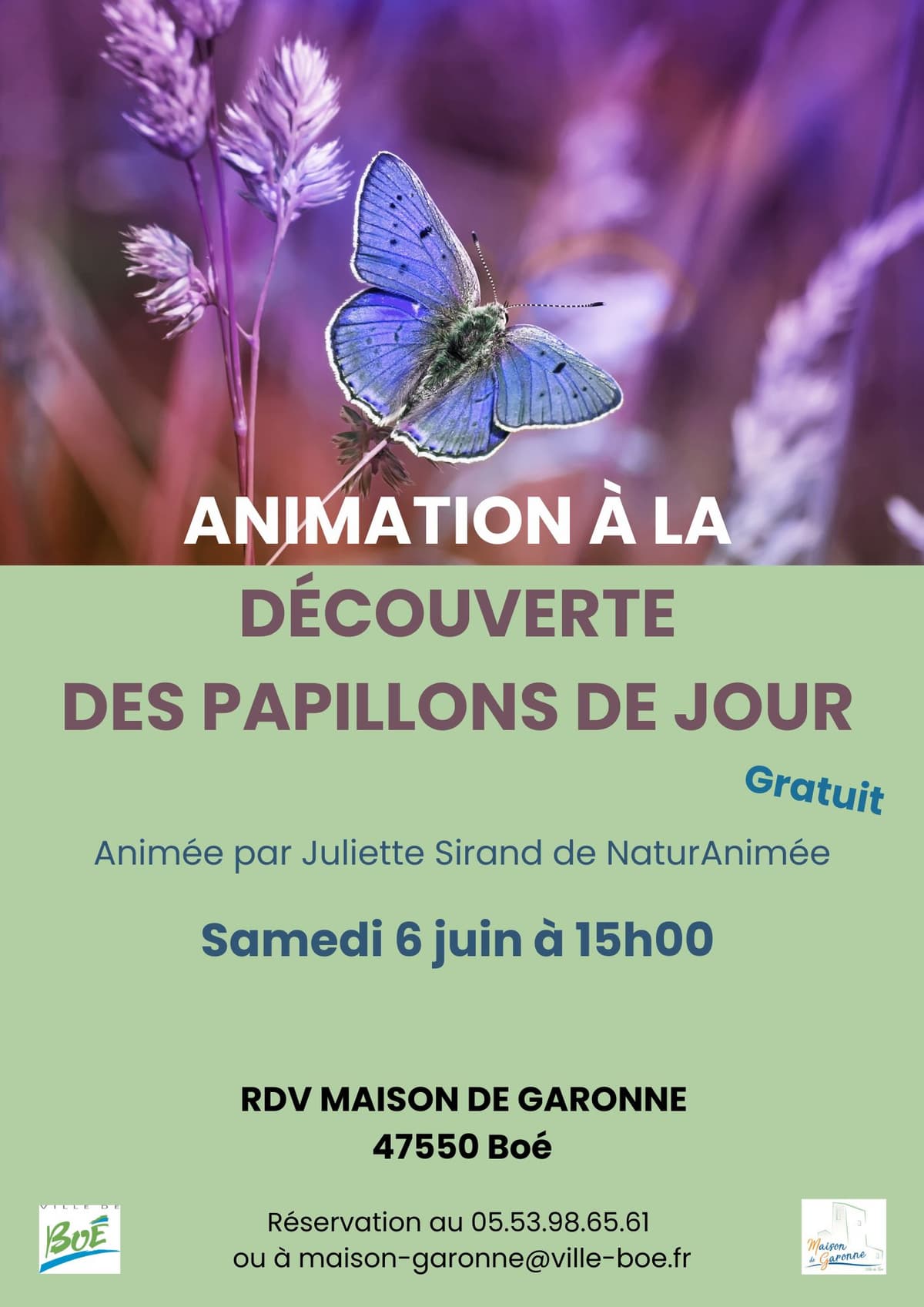 Illustration de l'événement : Animation à la découverte des papillons de jour