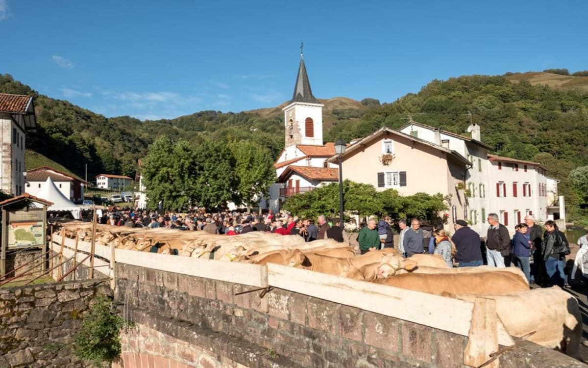 Illustration de l'événement : Portes ouvertes de la Vallée des Aldudes