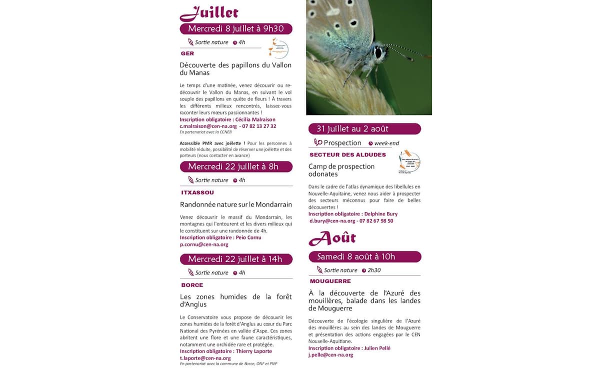 Illustration de l'événement : Les rdv nature : WE camp de prospection odonates