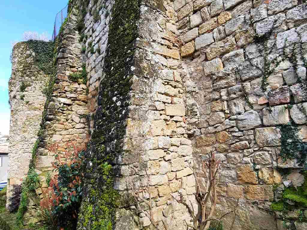 Illustration de l'événement : Visite guidée - Les remparts de La Réole
