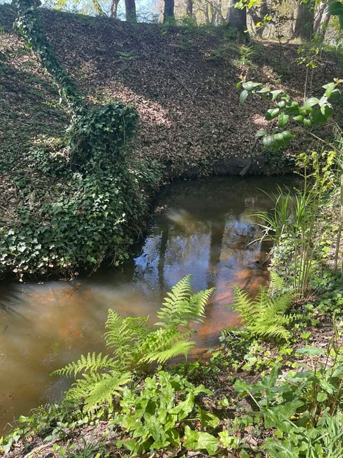 Illustration de l'événement : Balade contée le long du Bétey  "Le murmure du ruisseau"