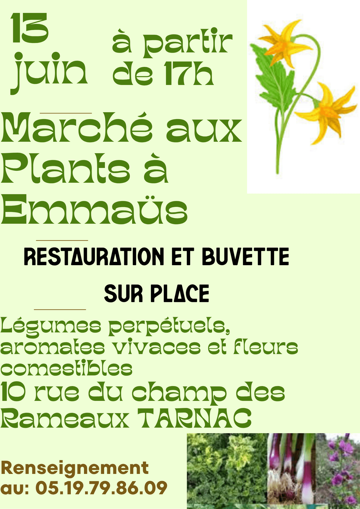 Illustration de l'événement : Marché aux plants à l'Emmaüs montagne limousine