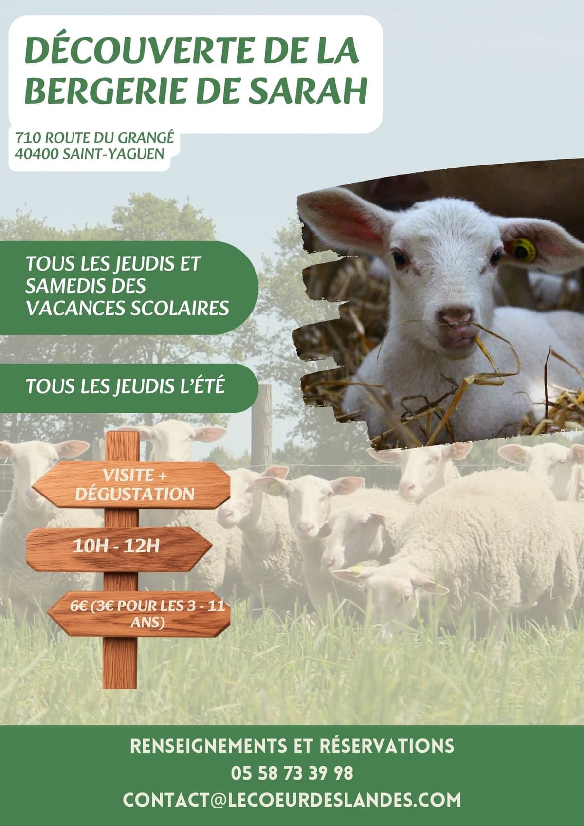 Illustration de l'événement : Découverte de la bergerie de Sarah : Visite & Dégustation
