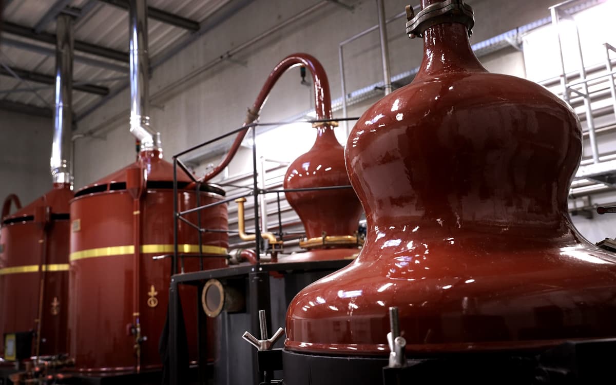 Illustration de l'événement : Visite de la Distillerie Brana et dégustation
