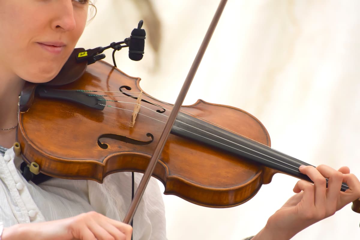 Illustration de l'événement : Festival Musique en Périgord : Quatuor Léonis-version enfants