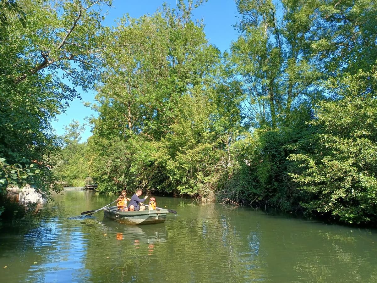 Illustration de l'événement : Location de barques à rames